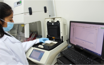 Desarrollo de la técnica de PCR tiempo real para la detección de bacterias fitopatógenas