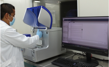Análisis de producto de PCR en gel virtual